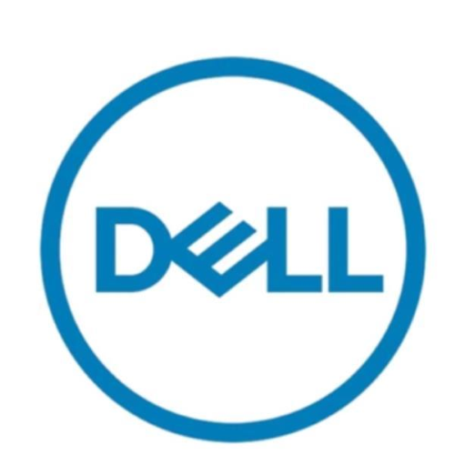 Dell - SSD - 960 GB - interno - 2.5" (in supporto da 3,5") - SATA 6Gb/s - per PowerEdge C6420 (3.5")